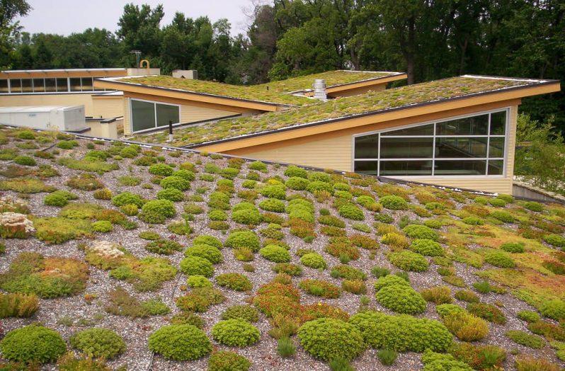 zelena-eko-strecha-pre-sikme-strechy