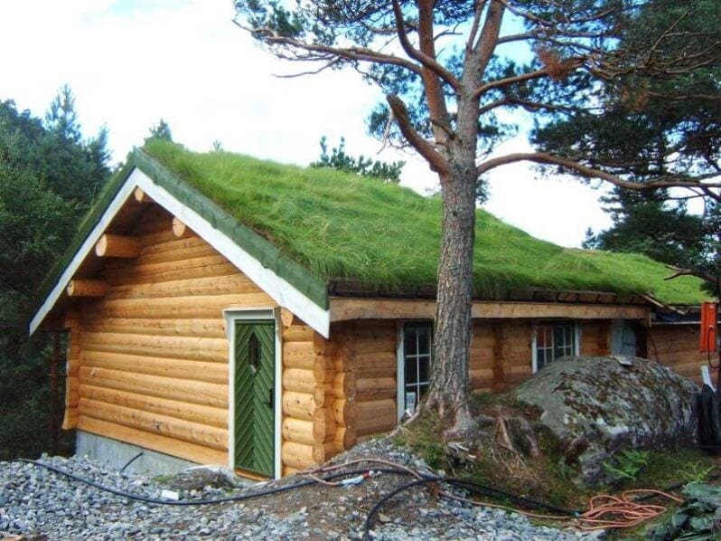 zelena-sikma-strecha-eko-trava-na-streche-drevostavba-dreveny-dom