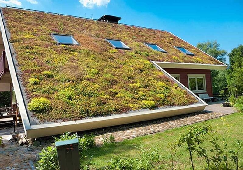 zelena-sikma-strecha-eko-zelen-na-streche-drevostavba-dreveny-dom-stresne-okna
