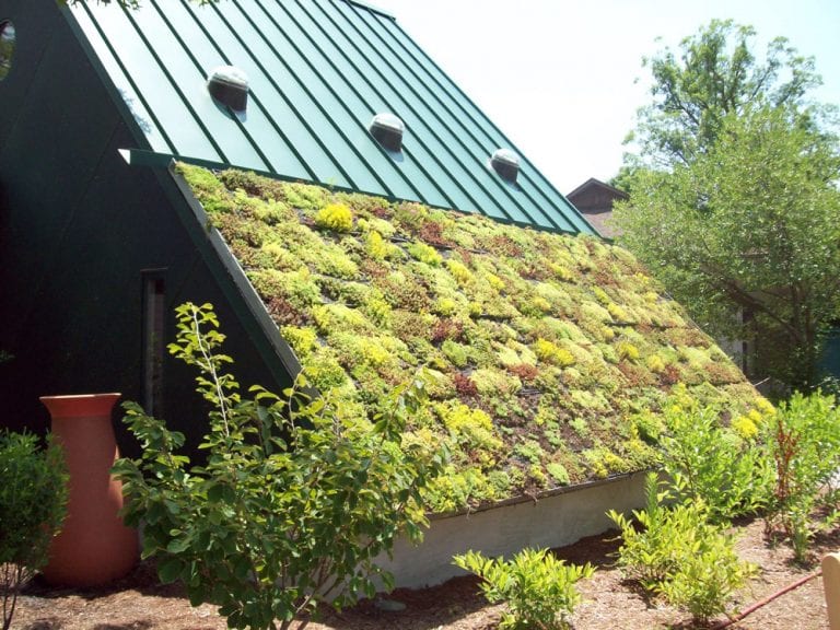 zelena vegetačná strecha